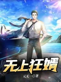 无上狂婿